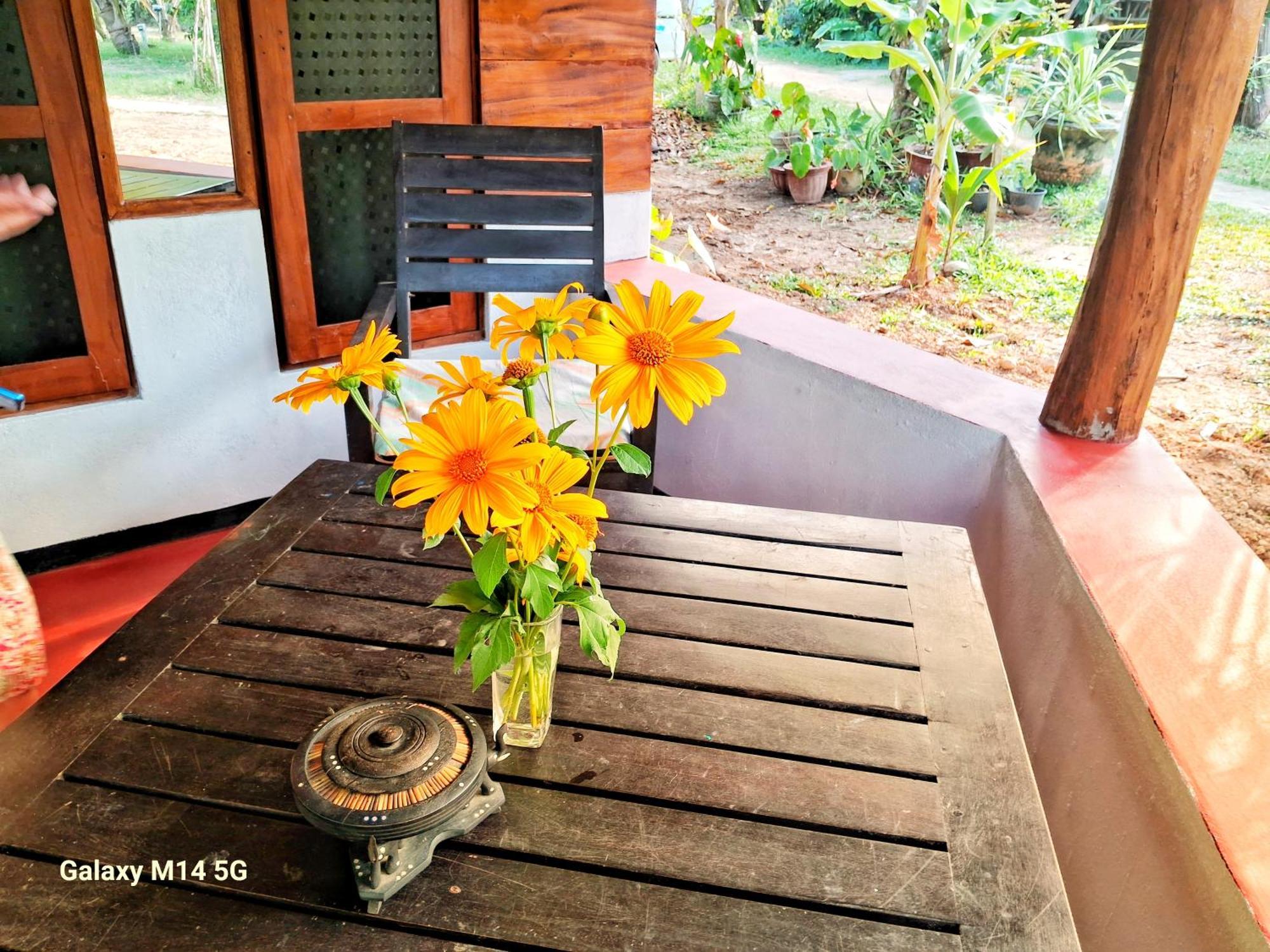 Sea Sound Cabana & Restaurant Tangalle Exterior foto